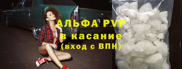 трава Новозыбков