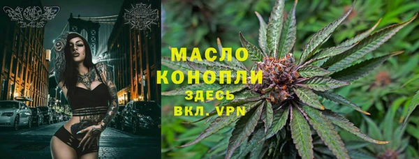 метадон Новодвинск