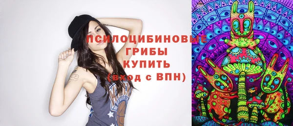а пвп мука Нея