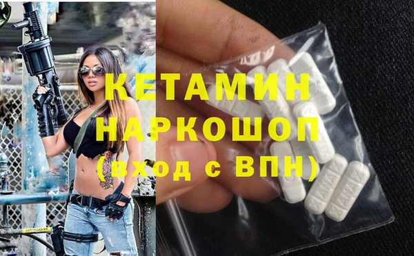 трава Новозыбков